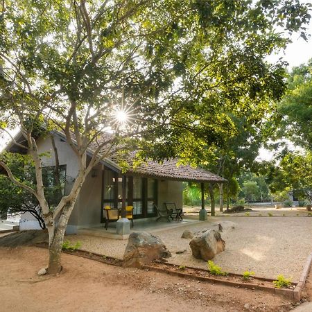 Koragaha Lodge - Yala تيساماهاراما المظهر الخارجي الصورة