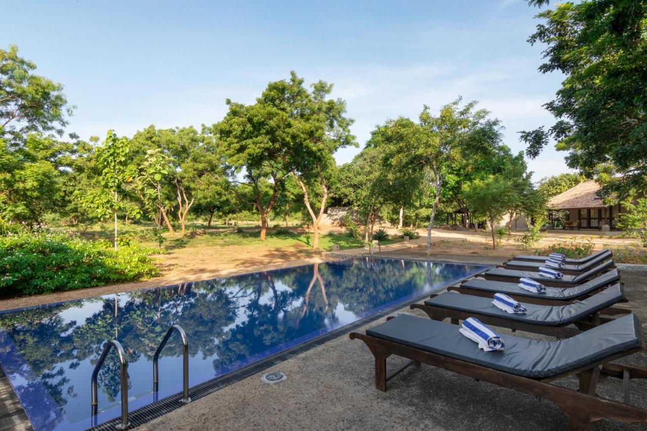 Koragaha Lodge - Yala تيساماهاراما المظهر الخارجي الصورة